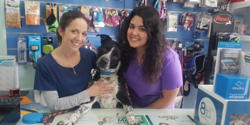 Clínica veterinaria Confivet en Torrejón Ardoz