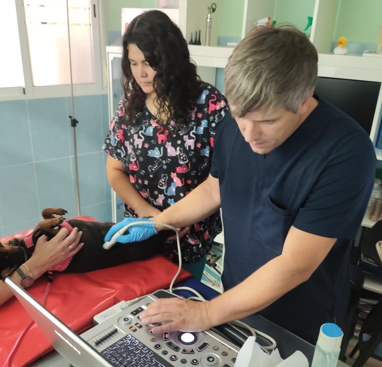 Clínica veterinaria en Torrejón de Ardoz