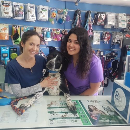 Clínica veterinaria Confivet en Torrejón Ardoz