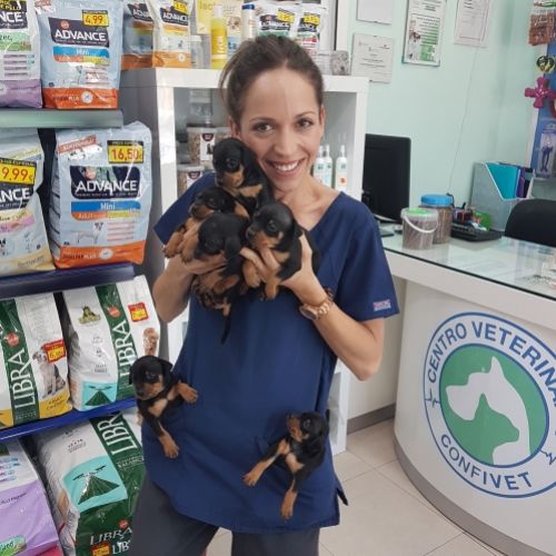 centro veterinario Confivet en Torrejón de Ardoz