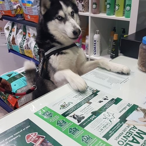 centro veterinario Confivet Torrejón de Ardoz