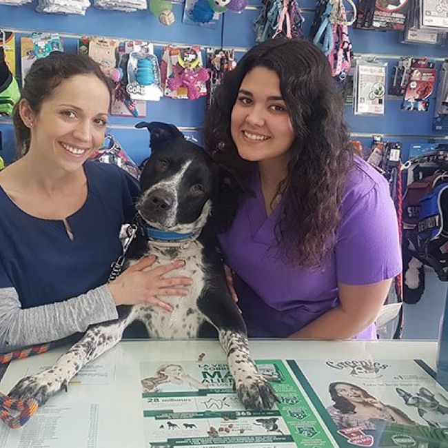 Centro veterinario Torrejón de Ardoz