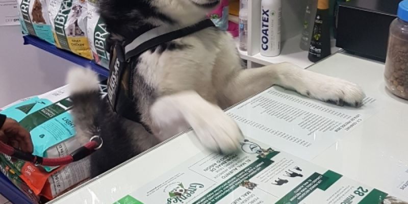 centro veterinario Confivet Torrejón de Ardoz