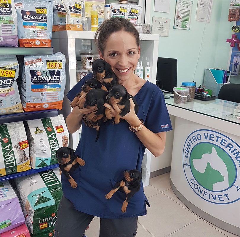 Servicios veterinarios en Torrejón de Ardoz
